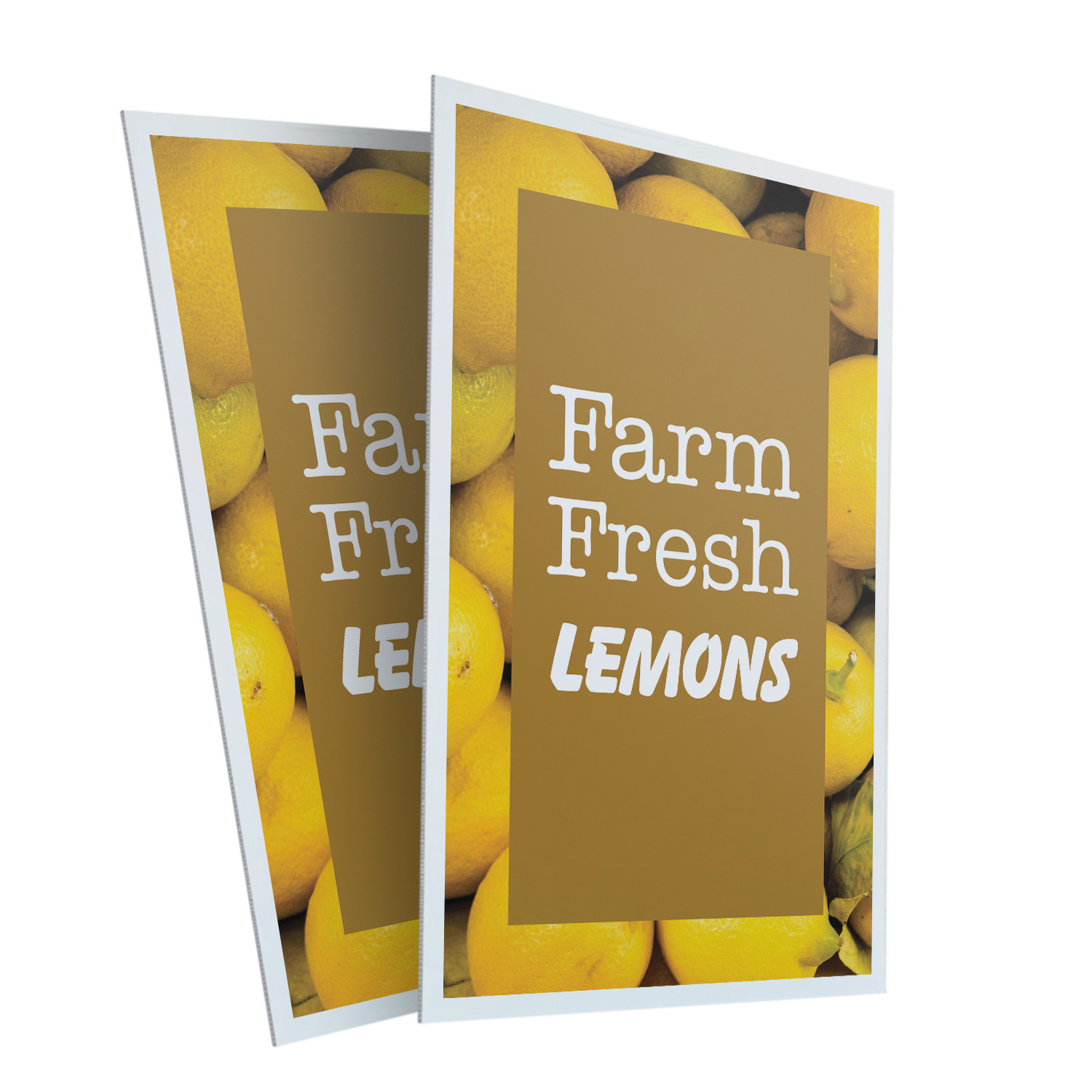 Farm Fresh Lemons Heavy Duty A-Frame Sidewalk Sign Fresh Citrus Local Grocers