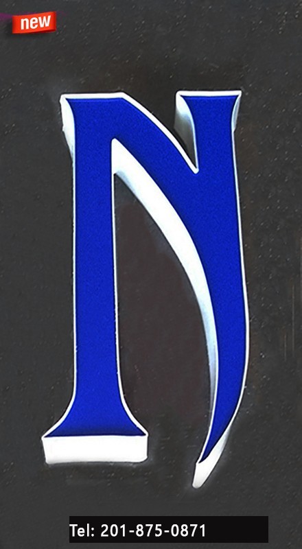 Custom Channel Letters Storefront signage outdoor 20 Inches ( Read Description )