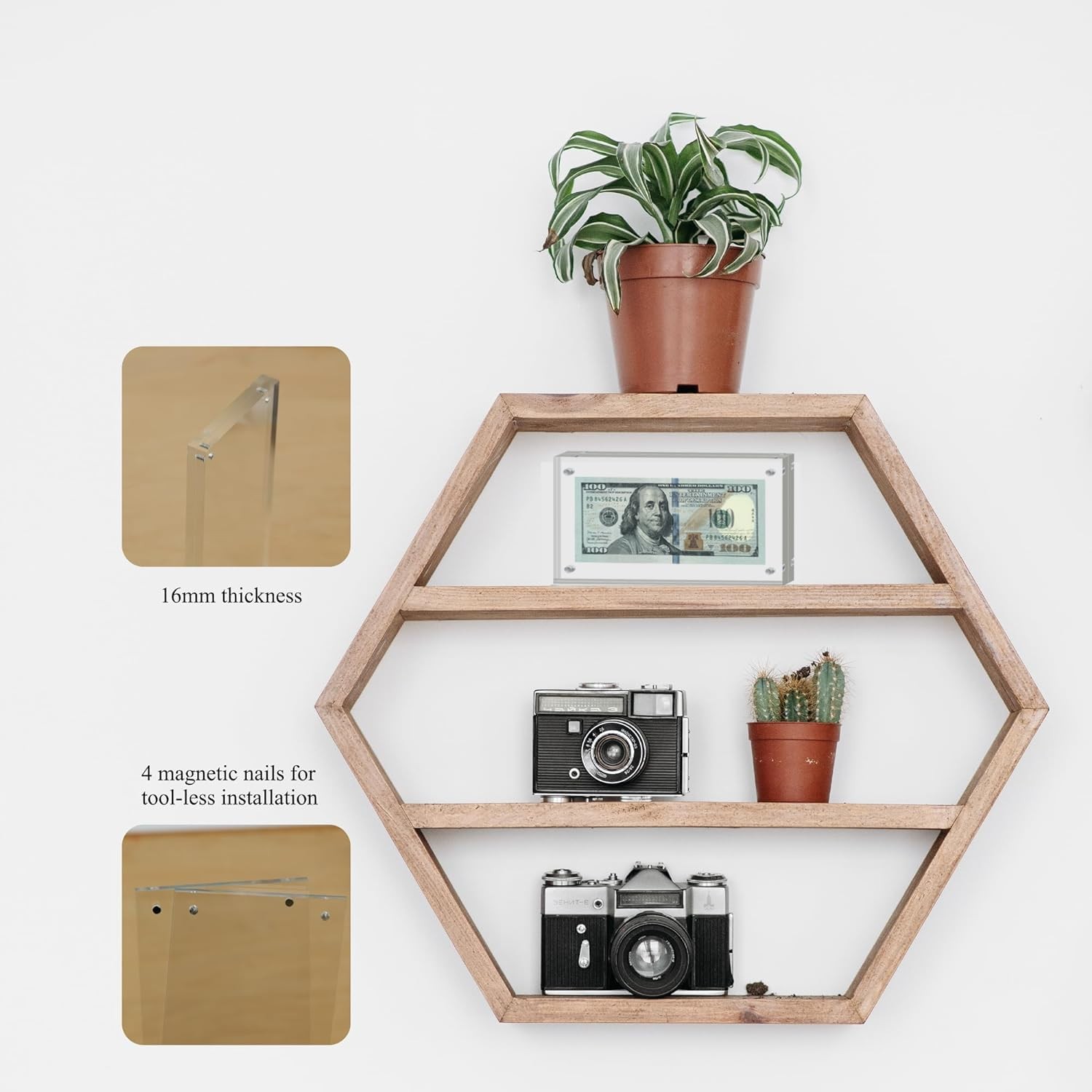Dollar Bill Frame Display Acrylic Holder 3.9X7.8Inch 1 Pcs