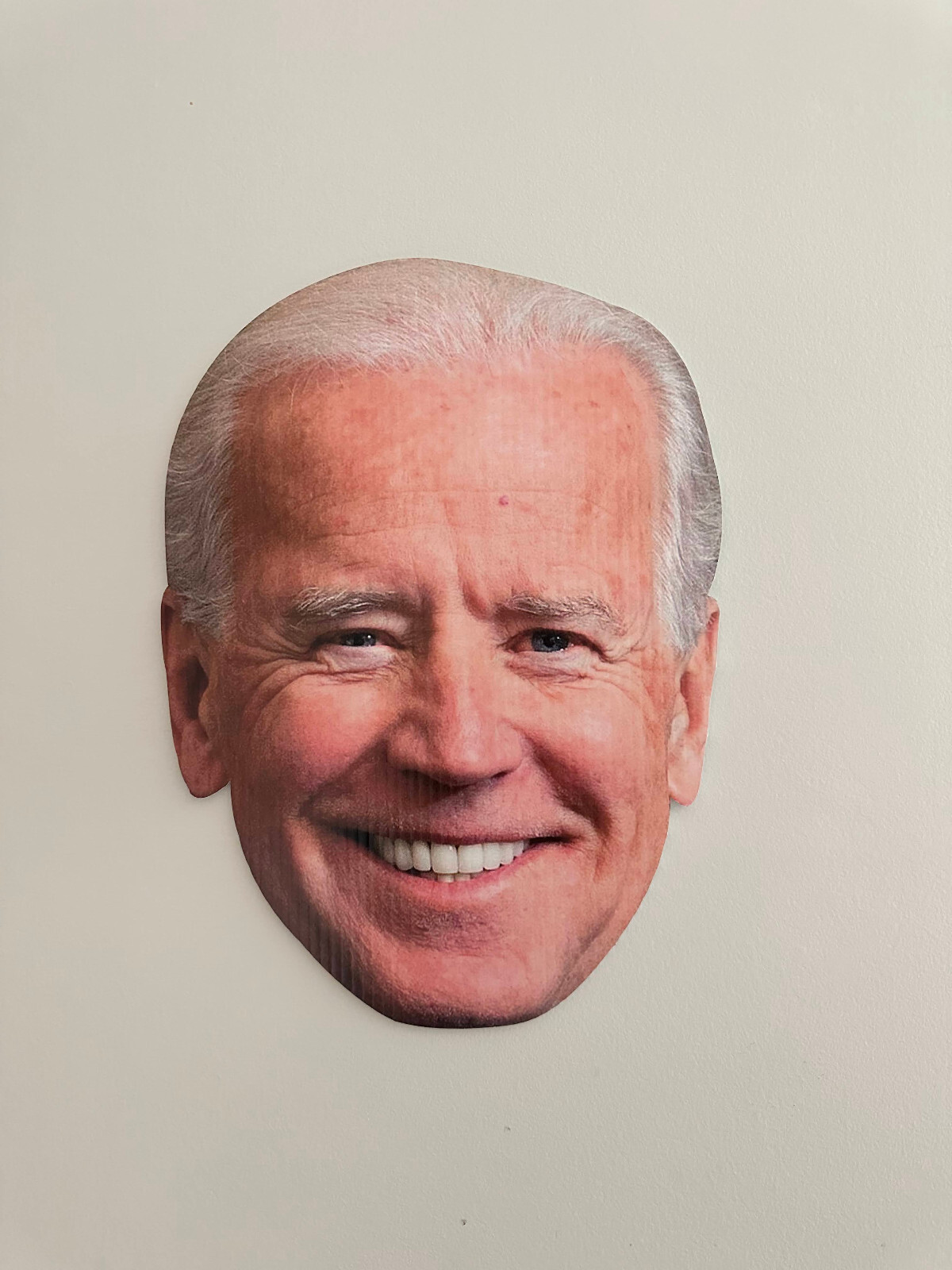 BIDEN SMALL HEAD 15&Prime;x11&Prime; PRESIDENT ELECTION DEMOCRATIC YARD SIGN WITH STAKE USA