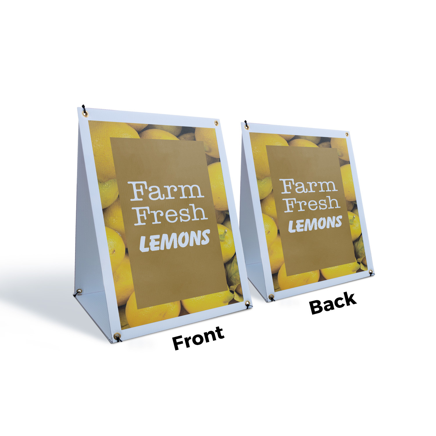 Farm Fresh Lemons A-Frame Sidewalk Sign Fresh Citrus Local Grocers Farmers