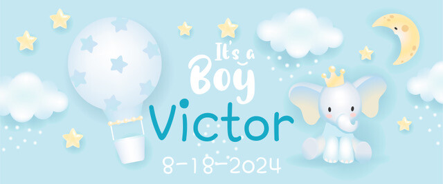 Welcome Baby Boy Custom Banner, Baby Shower Banner Custom Name & Date Banner
