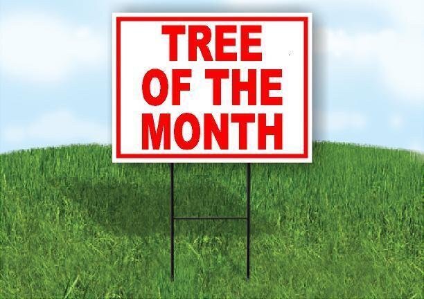 Tree Of The Month Red and White Yard Sign Road Sign Lawn Sign with Stand