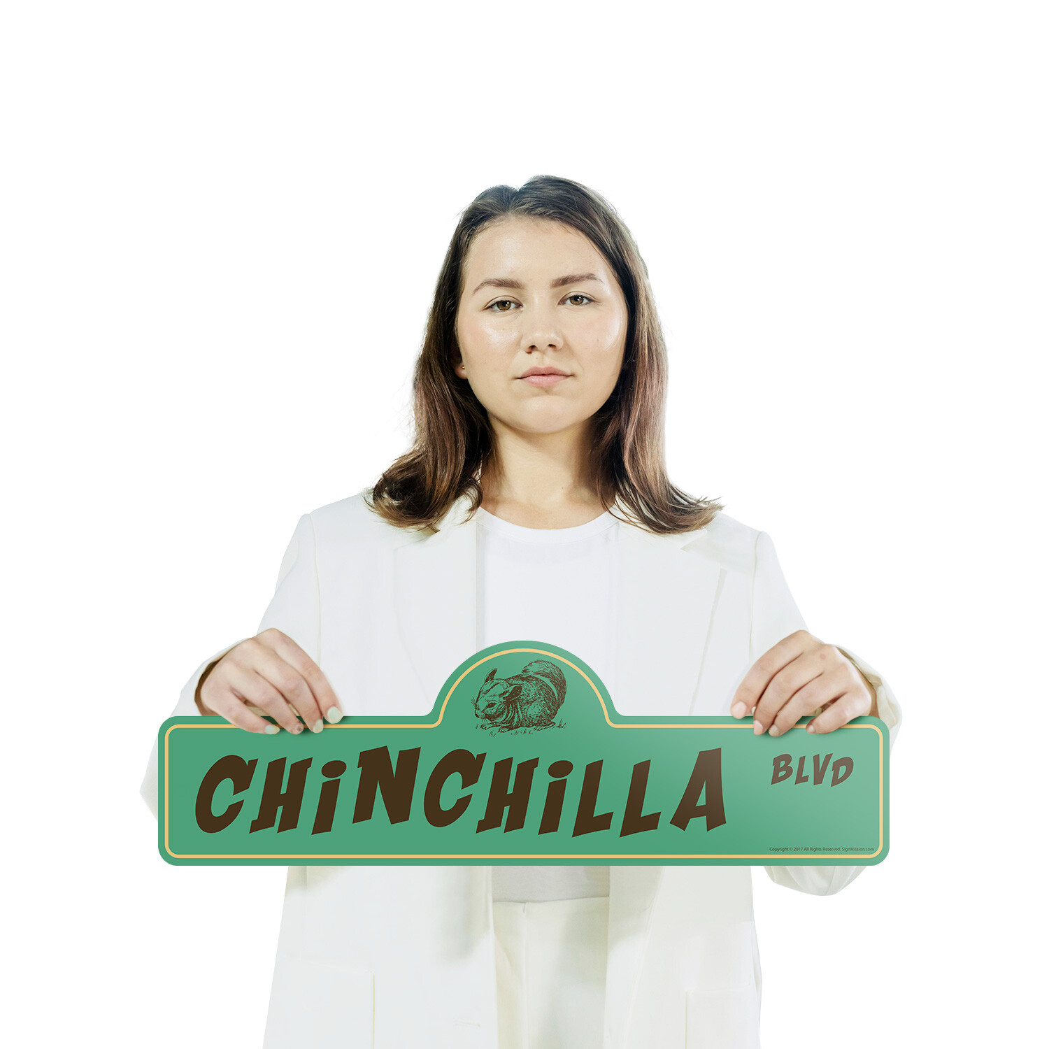 Chinchilla Plastic Street Sign Crossing Xing Gift Novelty Funny