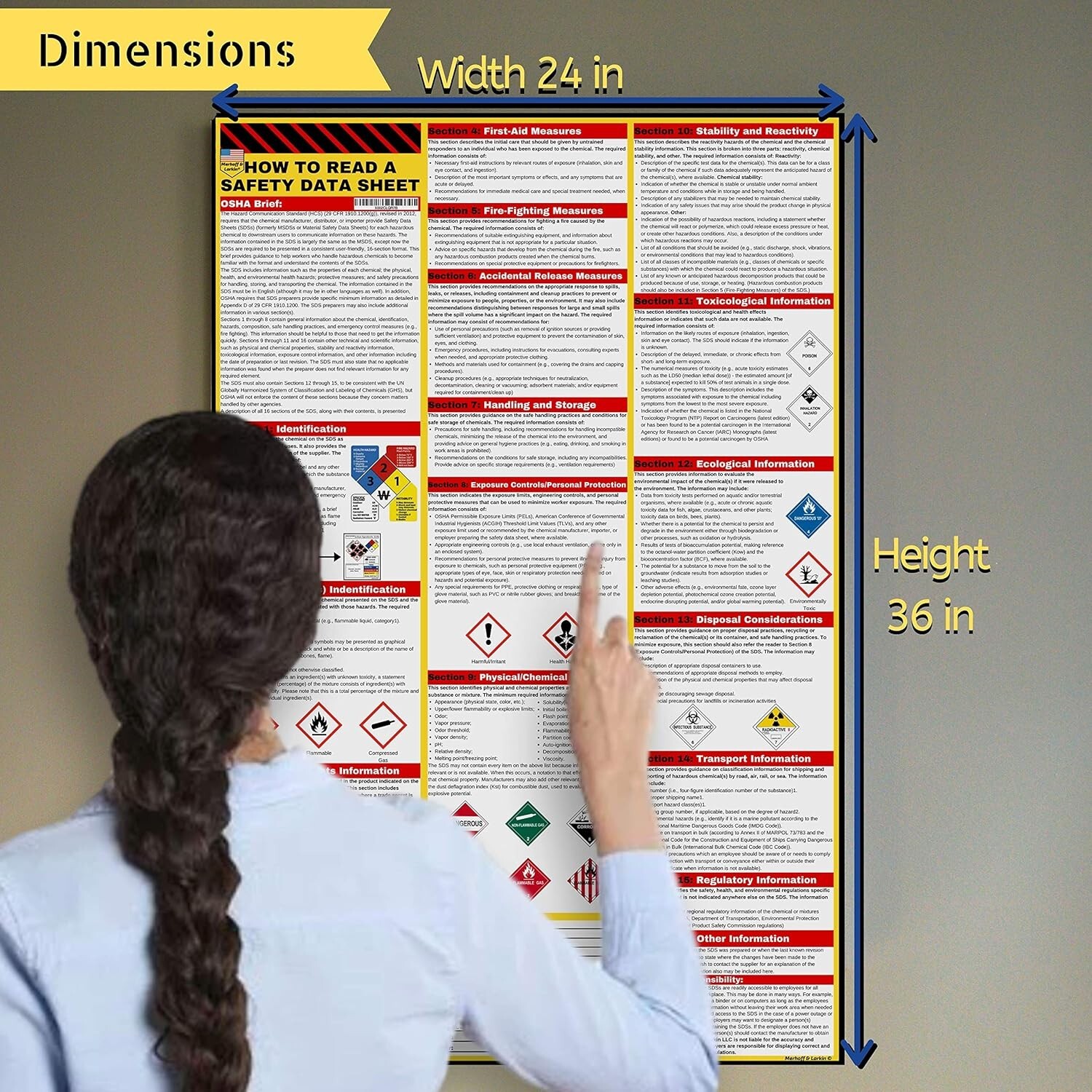How to Read A Safety Data Sheet (SDS/MSDS) Poster | English & Spanish 2025