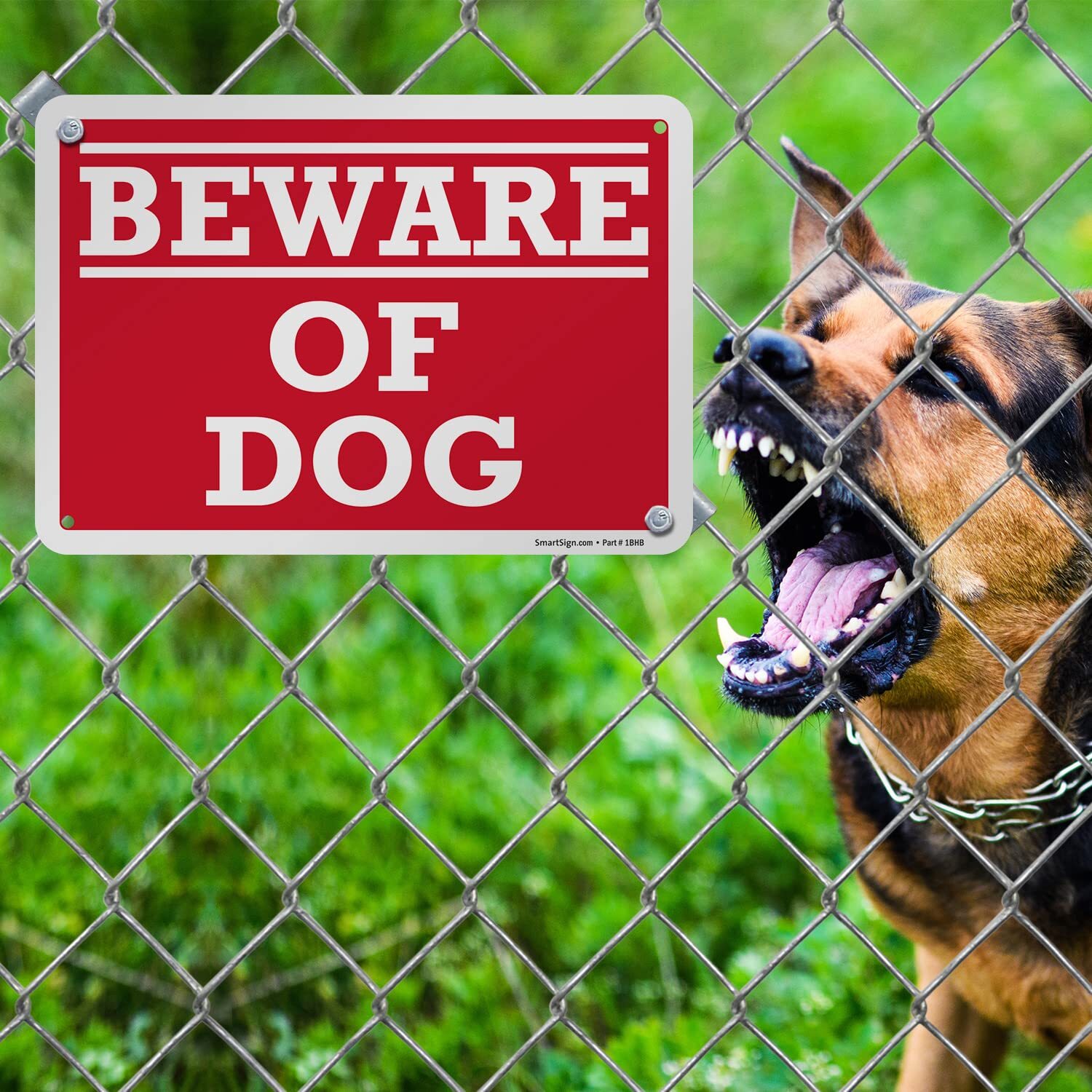 – K-2556-AL-10 « Beware of Dog » Sign | 7&Prime; x 10&Prime; Aluminum