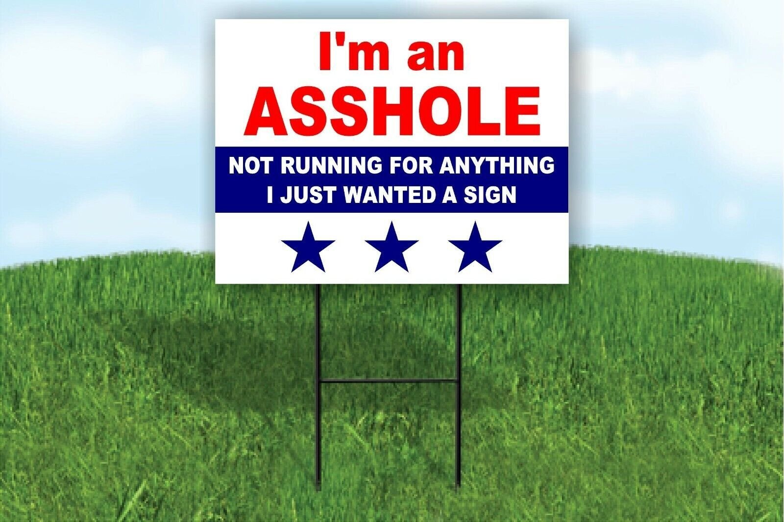 I&rsquo;M AN A-HOLE NOT RUNNING FOR ANYTHING Yard Sign Road with Stand LAWN SIGN