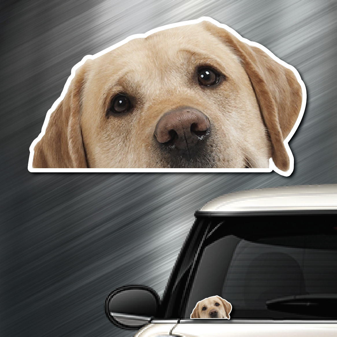 (1) Labrador Retriever DOG Peeper Sticker Window Peep Decal Car Auto Puppy lab