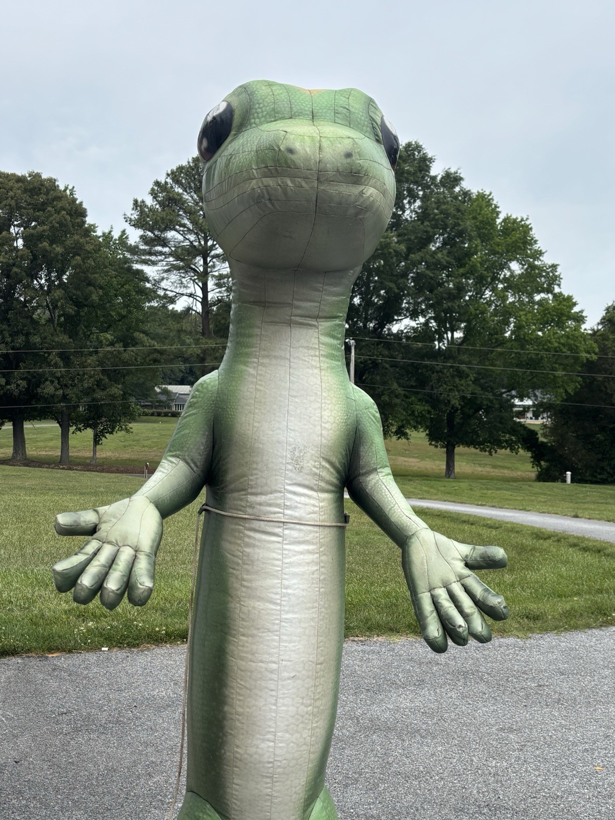 Inflatable Geico Gecko Advertising Approx 8 Feet Tall With Blower