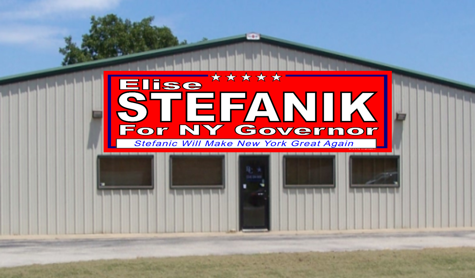 Elise STEFANIK NY GOVERNOR -Vinyl Banners-3 Choices Wh Blu Rd -Fast Ship-USA -35