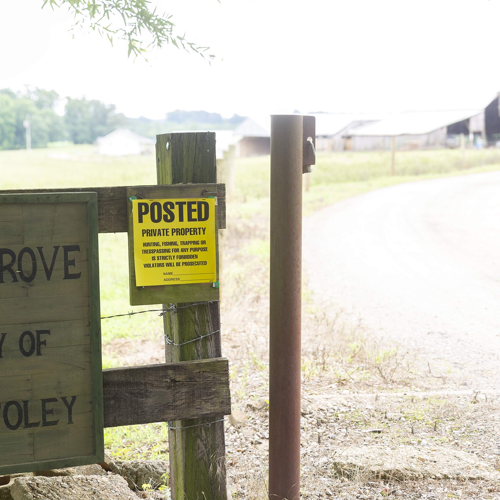 Heavy Duty Posted Signs – No Hunting or Trespassing (Yellow, 11&Prime; X 11&Prime;, 100 Pack