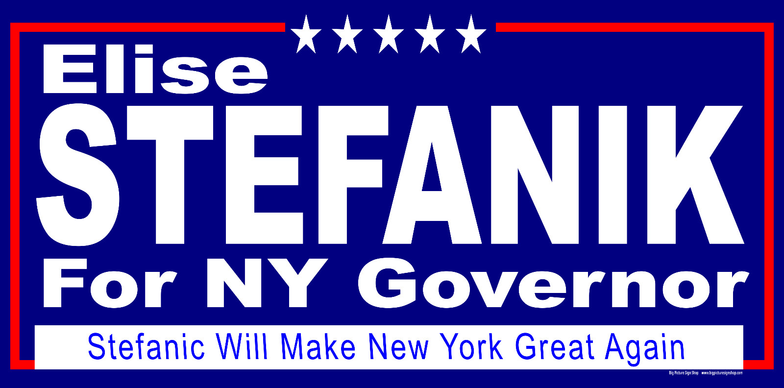 Elise STEFANIK NY GOVERNOR -Vinyl Banners-3 Choices Wh Blu Rd -Fast Ship-USA -35