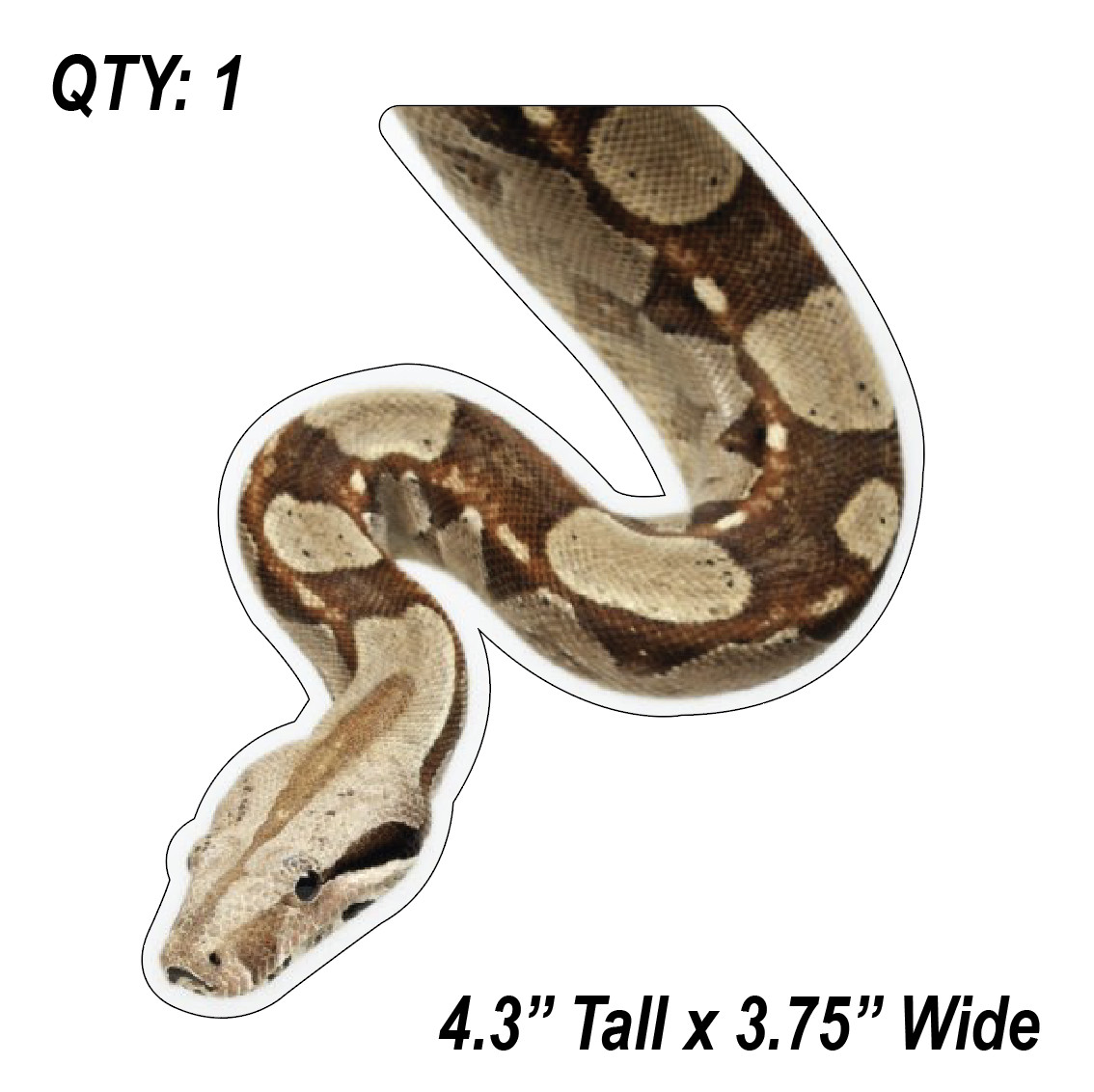 (1) BOA Peeper Sticker Window Peep Decal Car Auto Sticker Reptile Snake Herp.