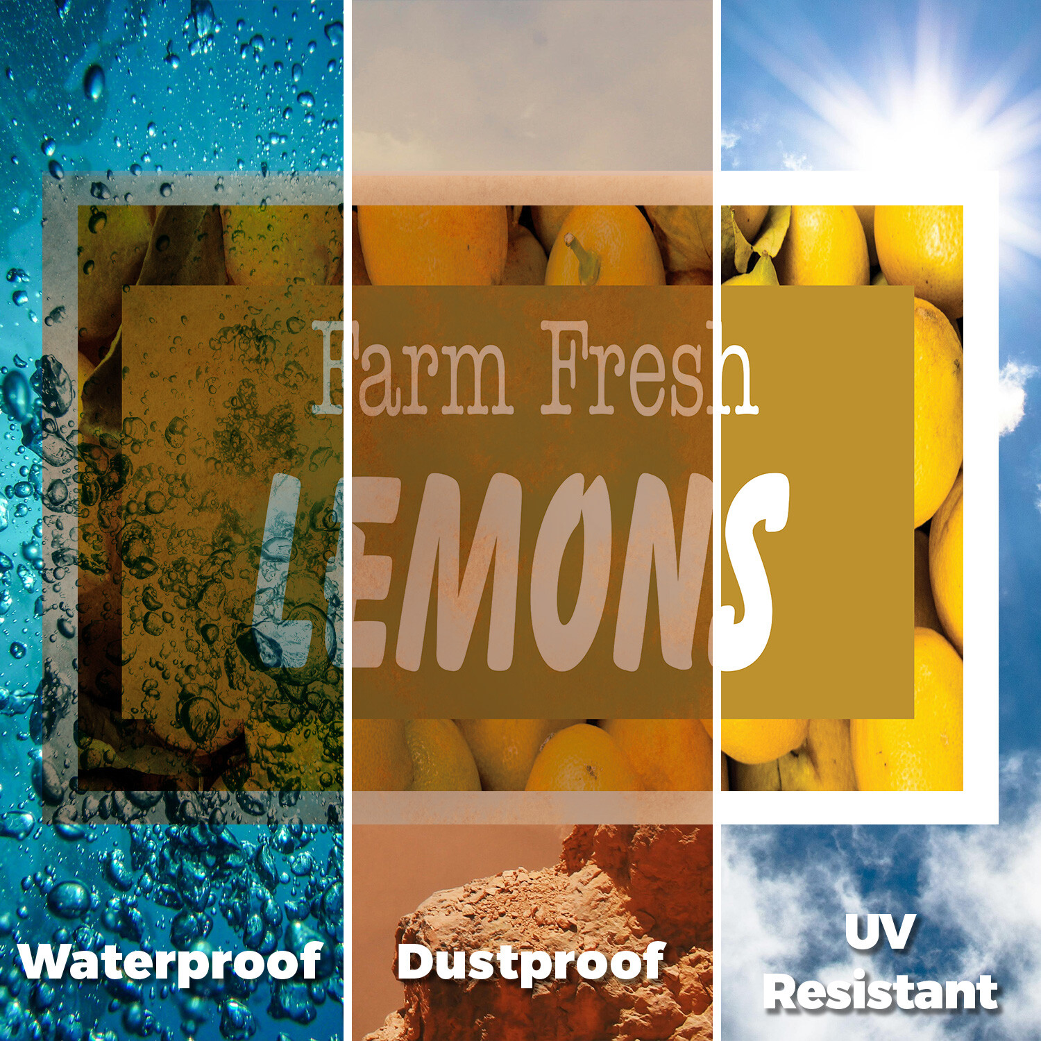 Farm Fresh Lemons Yard Sign Fresh Citrus, Local Grocers, Healthy Living
