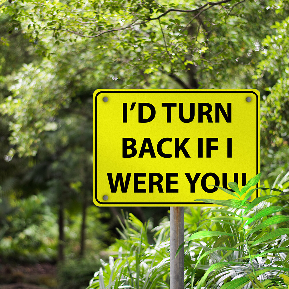 Aluminum Horizontal Metal Sign I&rsquo;D Turn Back If I Were You! Traffic Novelty