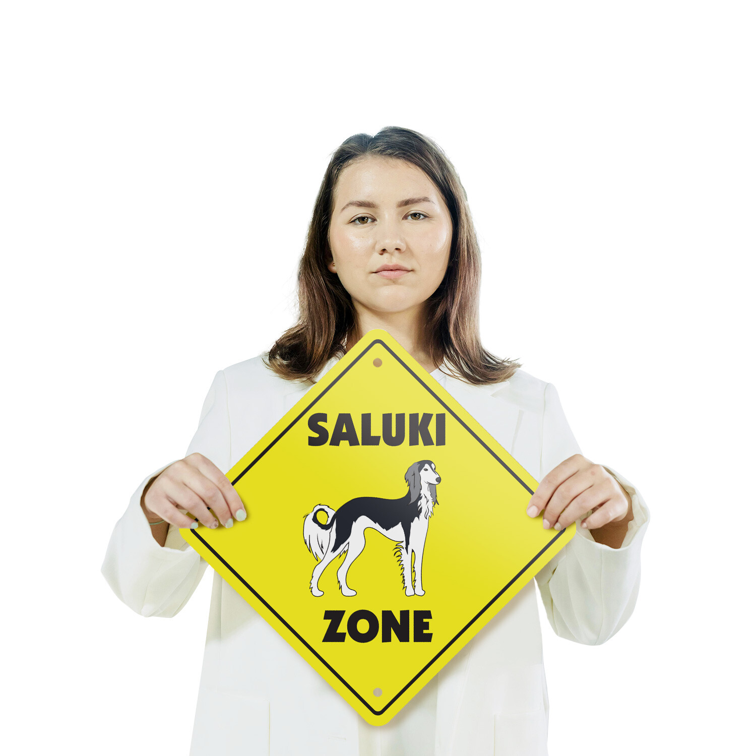 Saluki Plastic Street Sign Crossing Xing Gift Novelty Funny