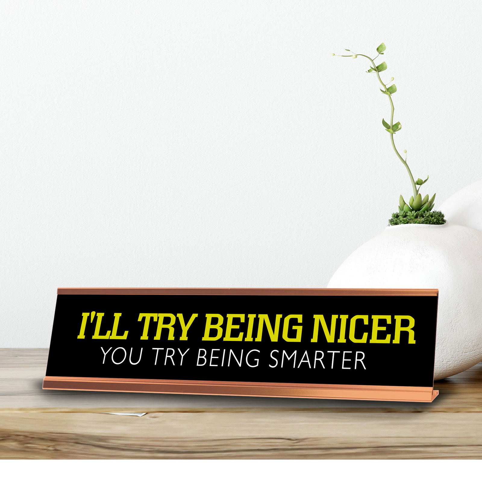 I&rsquo;ll Try Being Nicer You Try Being Smarter Novelty Desk Sign (2×10&Prime;)