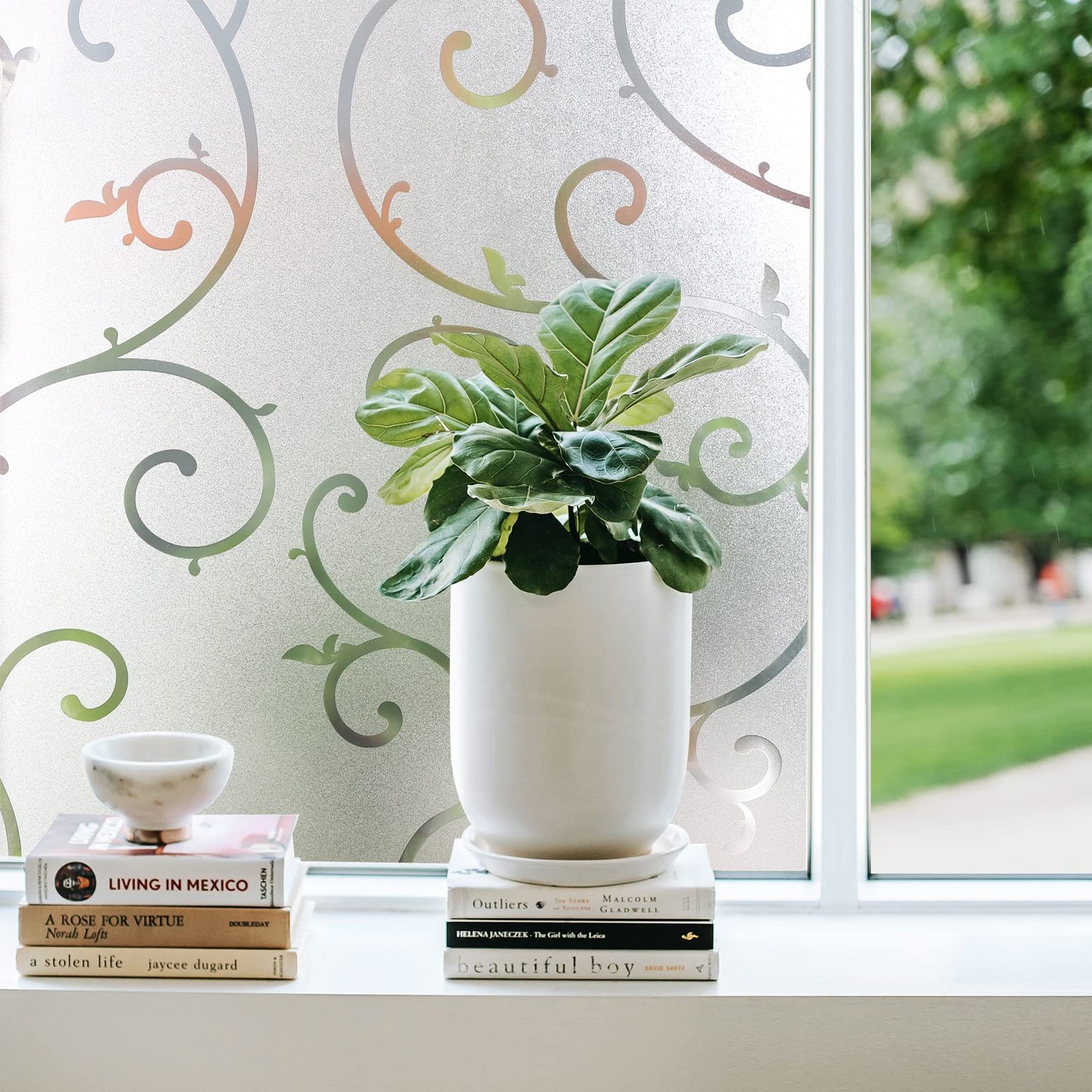 CottonColors Window Privacy Film 35&Prime;X 78&Prime;, Frosted Glass Window Film Decorati…