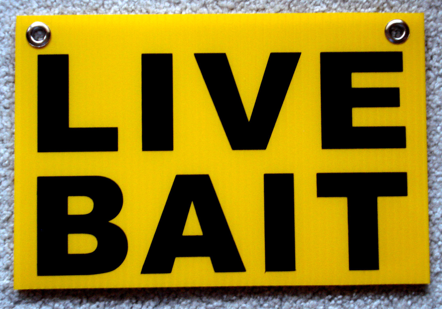 LIVE BAIT Coroplast SIGN with Grommets 8&Prime;x12&Prime; FREE SHIPPING!