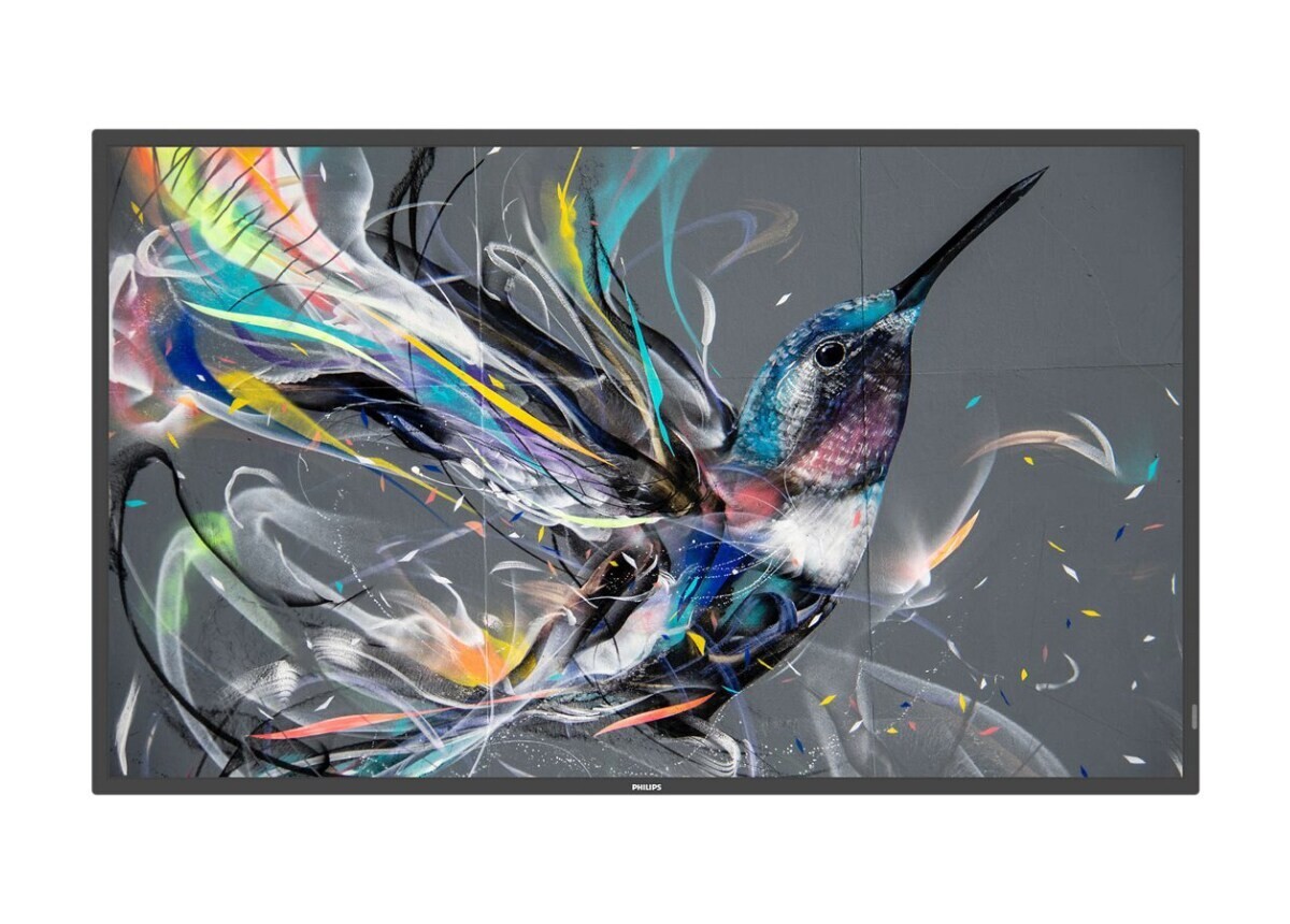 Philips Professional B-Line 65-inch Wall Mountable Television for Digital