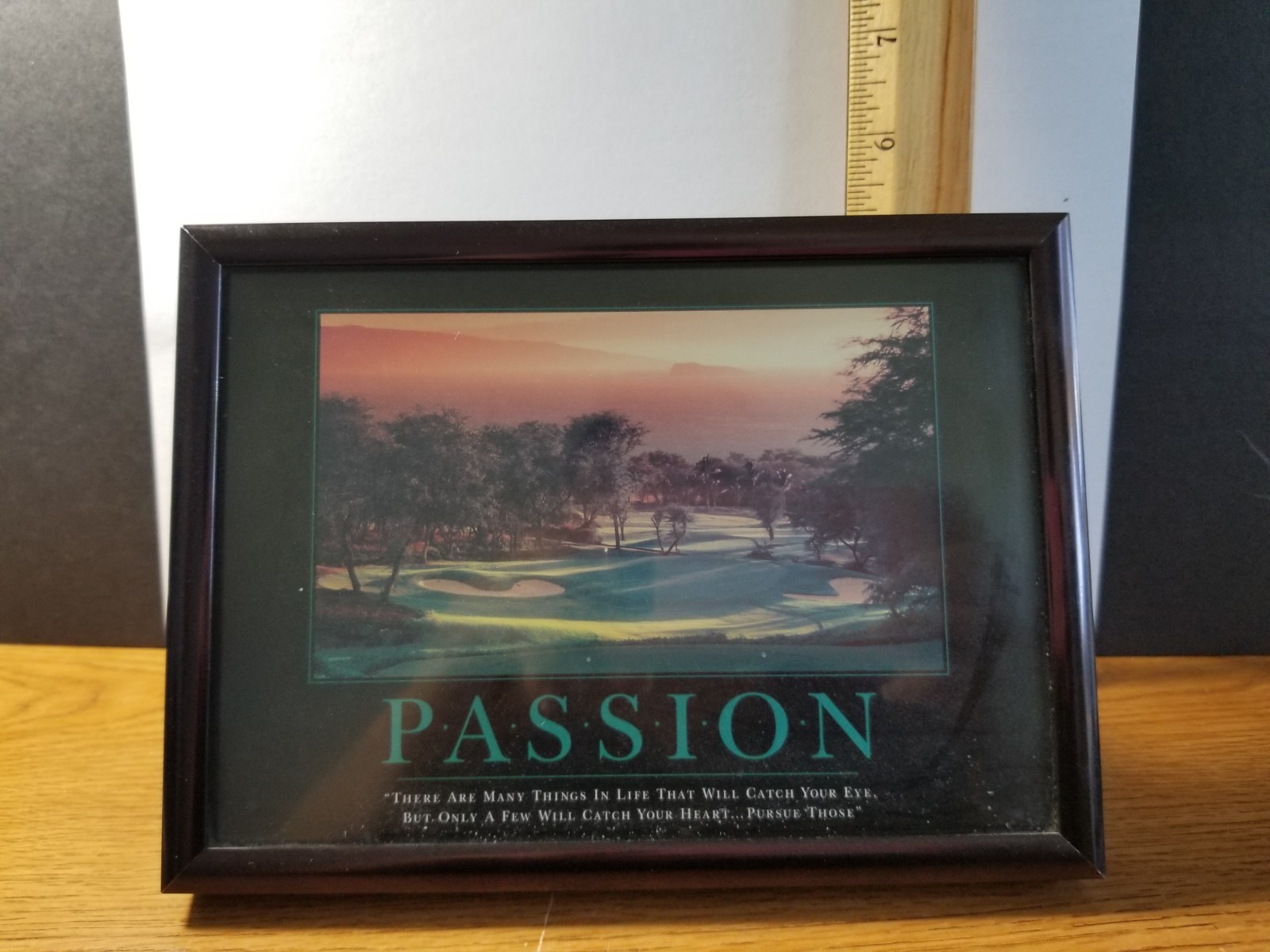 Used – Inspirational Passion Sign in Black Shiny Metal Frame for a Desk