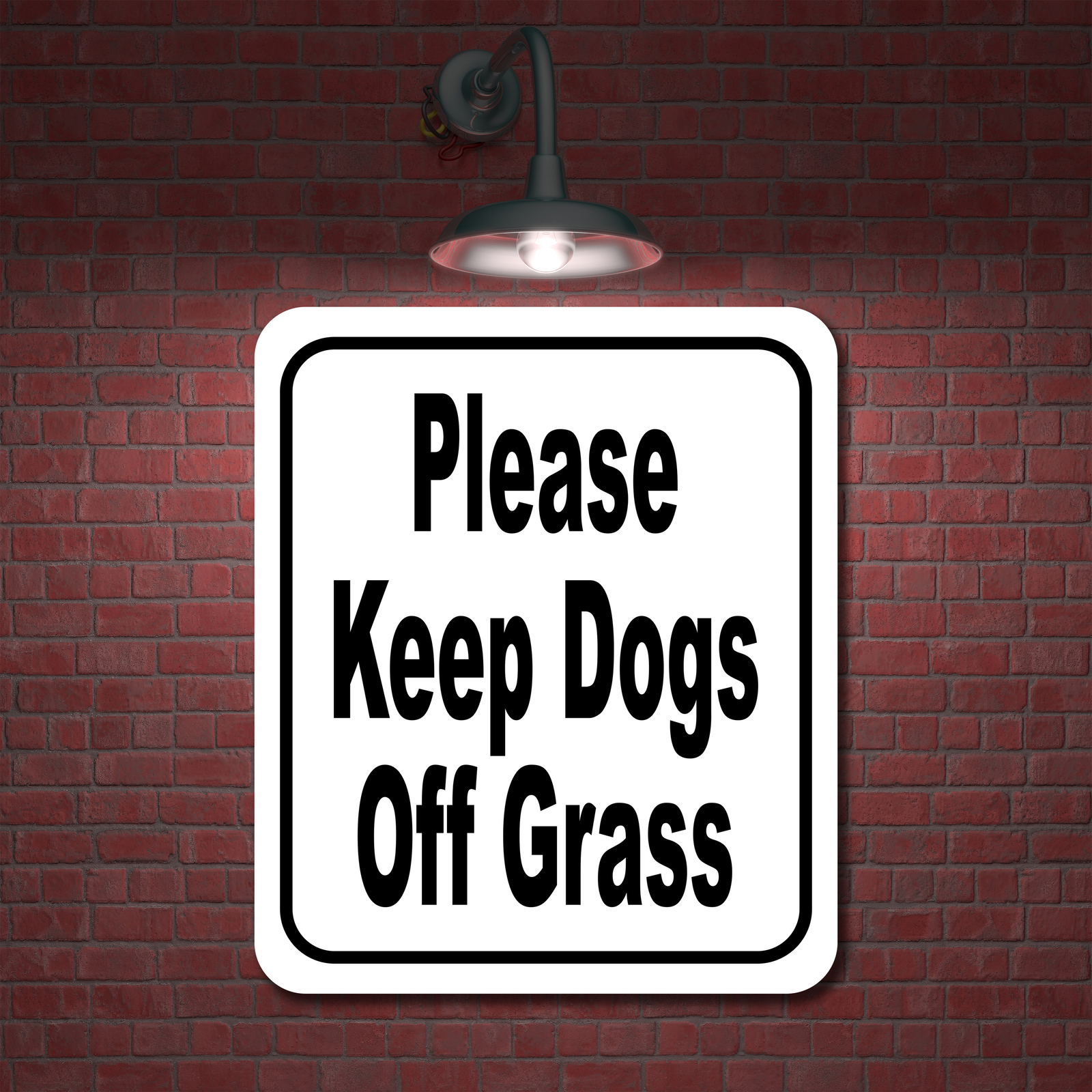 Please keep dogs off grass classic Aluminum Composite Sign