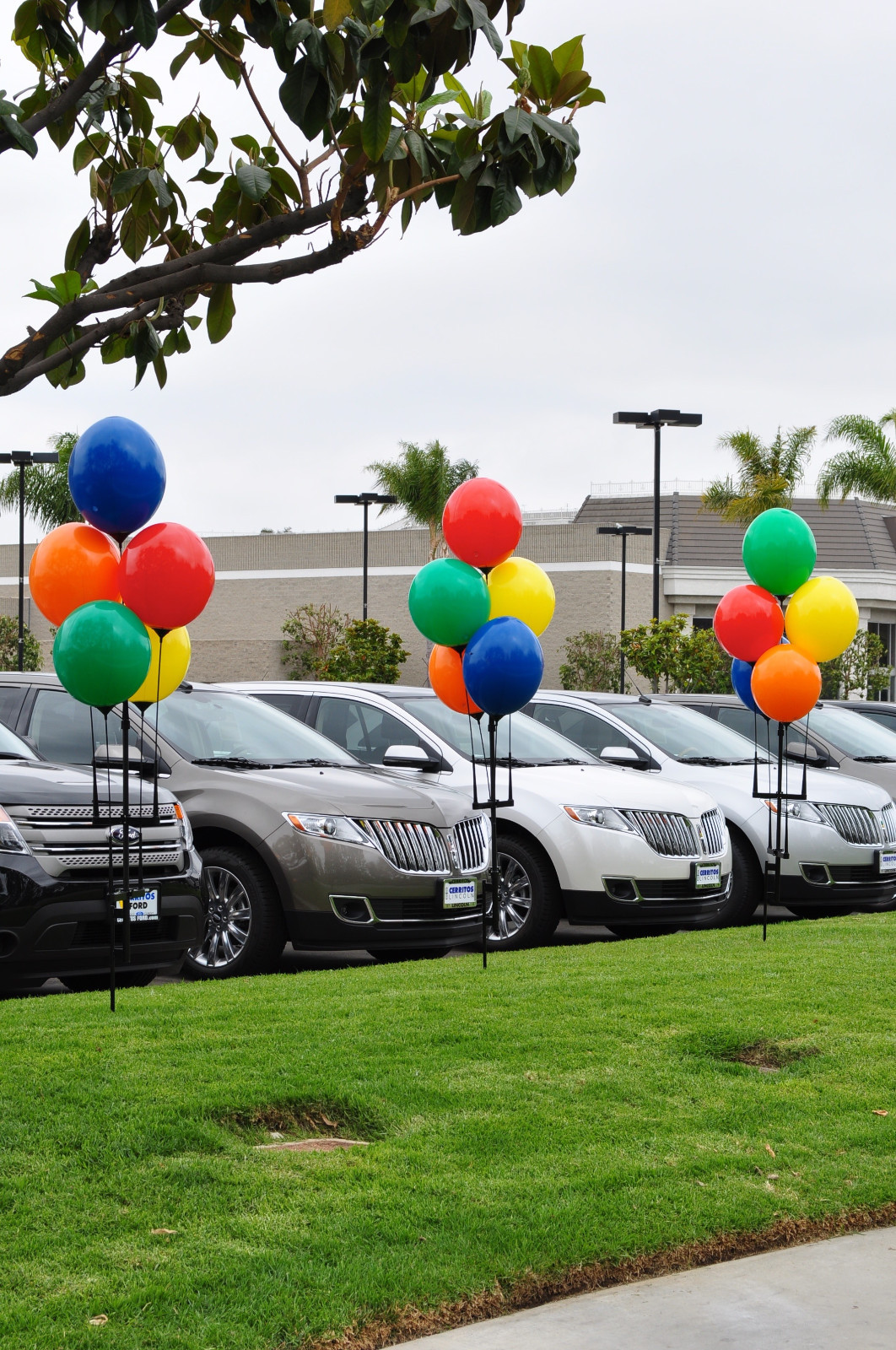 Replacement Balloons for Reusable Balloon Clusters | Balloons Only | 5 Balloons