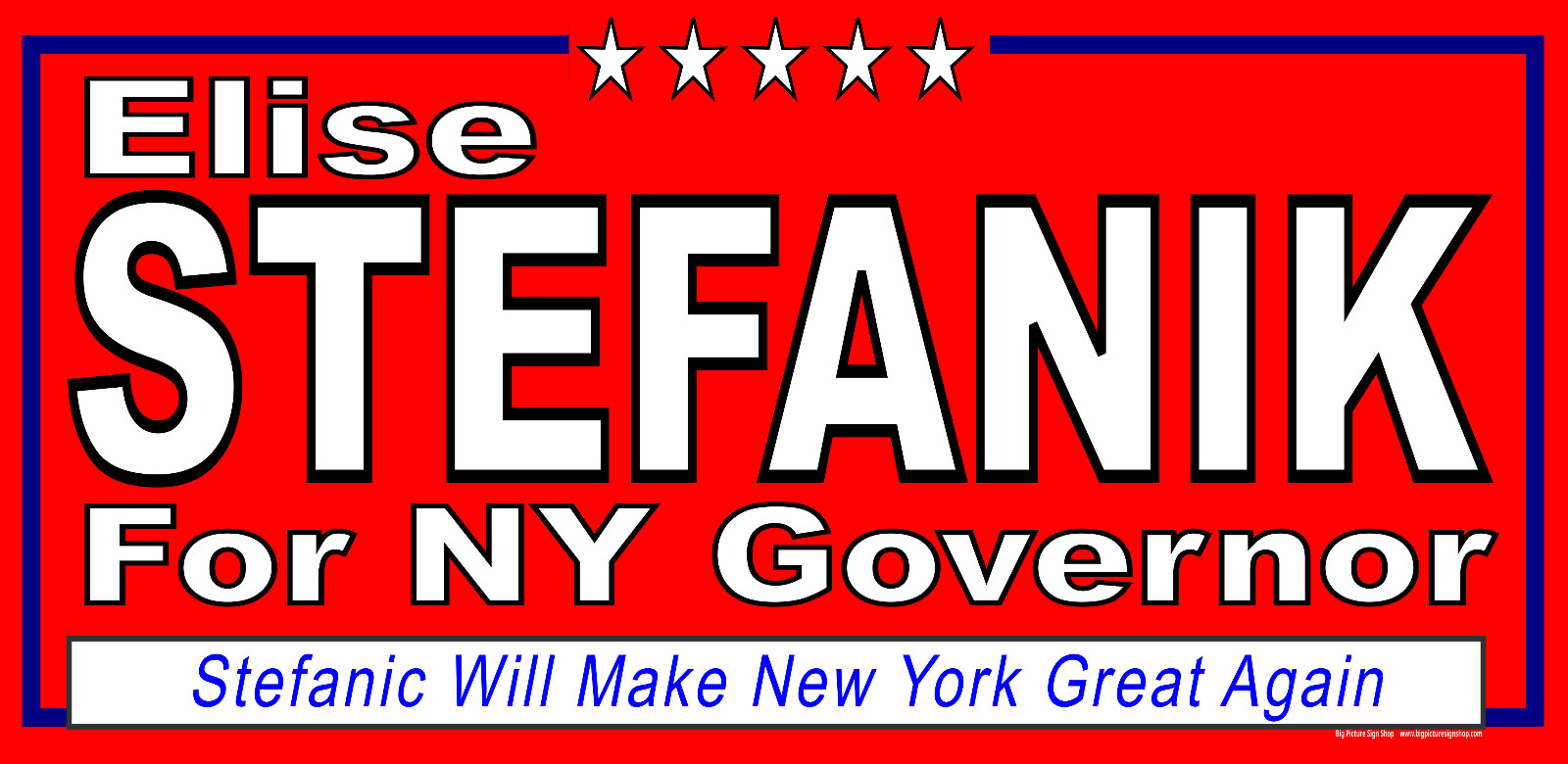 Elise STEFANIK NY GOVERNOR -Vinyl Banners-3 Choices Wh Blu Rd -Fast Ship-USA -35