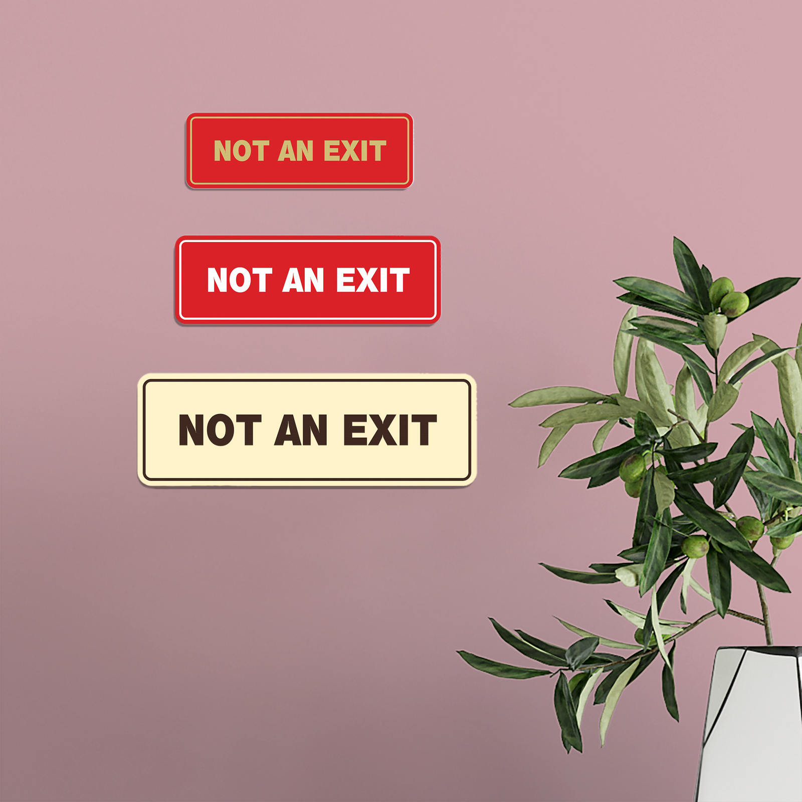 Standard Not An Exit Sign -Red – Small 2&Prime; X 6&Prime; 2 X6&Prime;