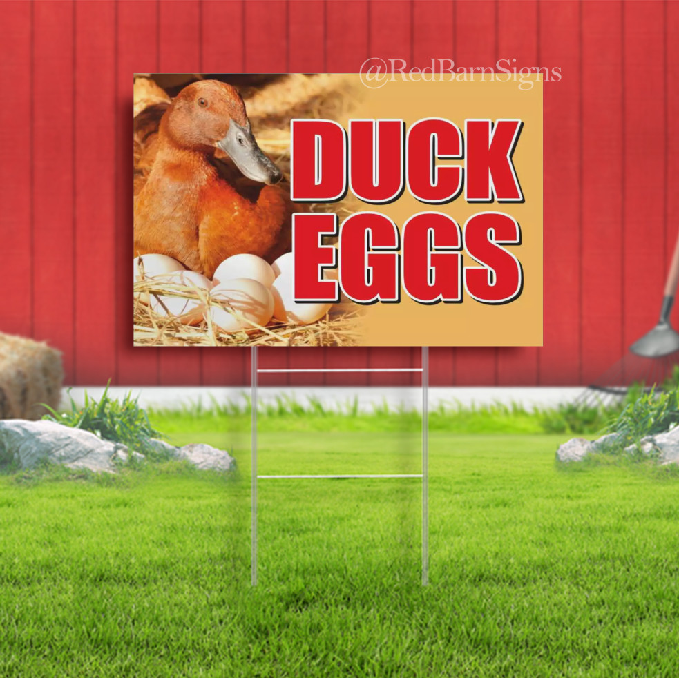 DUCK EGGS Yard Sign Corrugate Plastic with H-Stakes Lawn, Organic farmer fresh