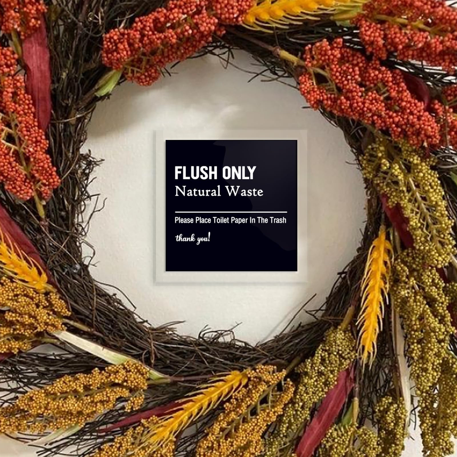 Flush Only Natural Waste Rules Sign Frosted Black 5.2×5.2 Inch Self-adhesive …