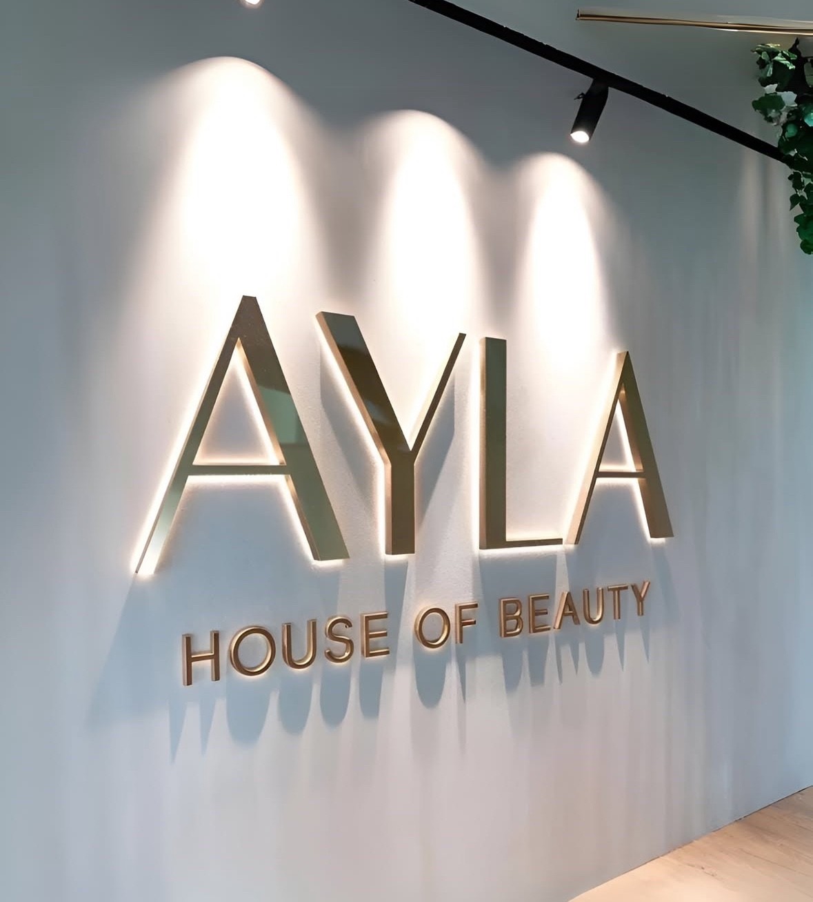 Custom 3D LED Backlit Logo Sign | Commercial Business Signage | Fast Build