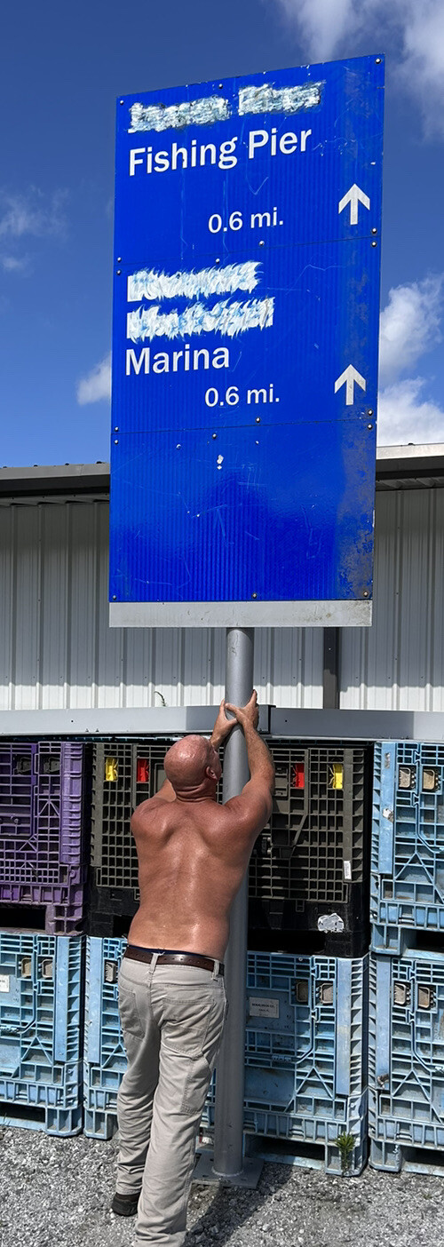 Aluminum SIGN & Pole sign, Decorative, Large