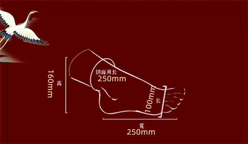 Lifelike Silicone Female Foot Model Mannequin Display Feet Length 250MM EU41 Set