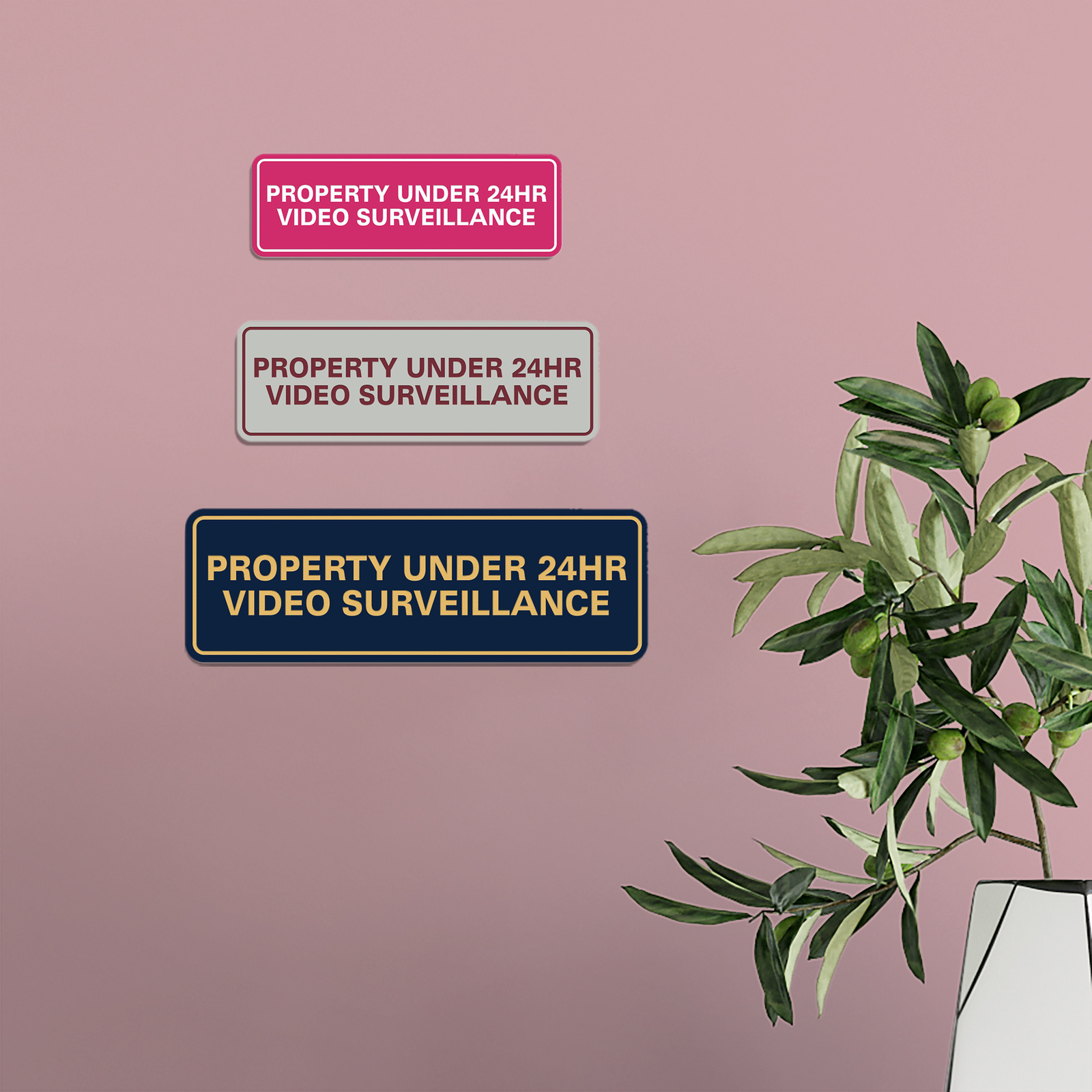 Standard Property Under 24 Video Surveillance Sign