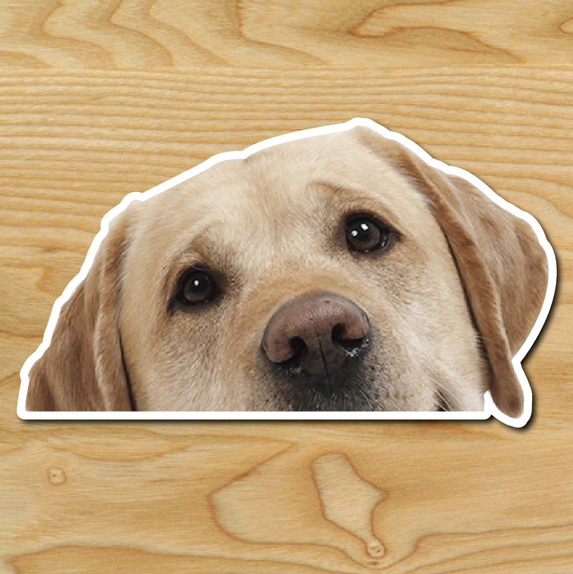 (1) Labrador Retriever DOG Peeper Sticker Window Peep Decal Car Auto Puppy lab