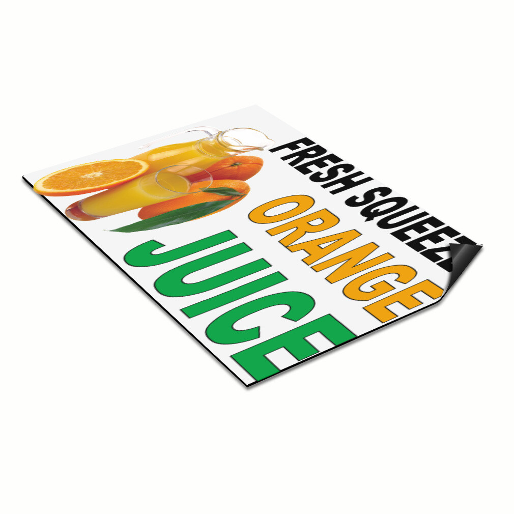 Car Magnet Set of 2 Fresh Squeezed Orange Juice Black Green Food Restaurant