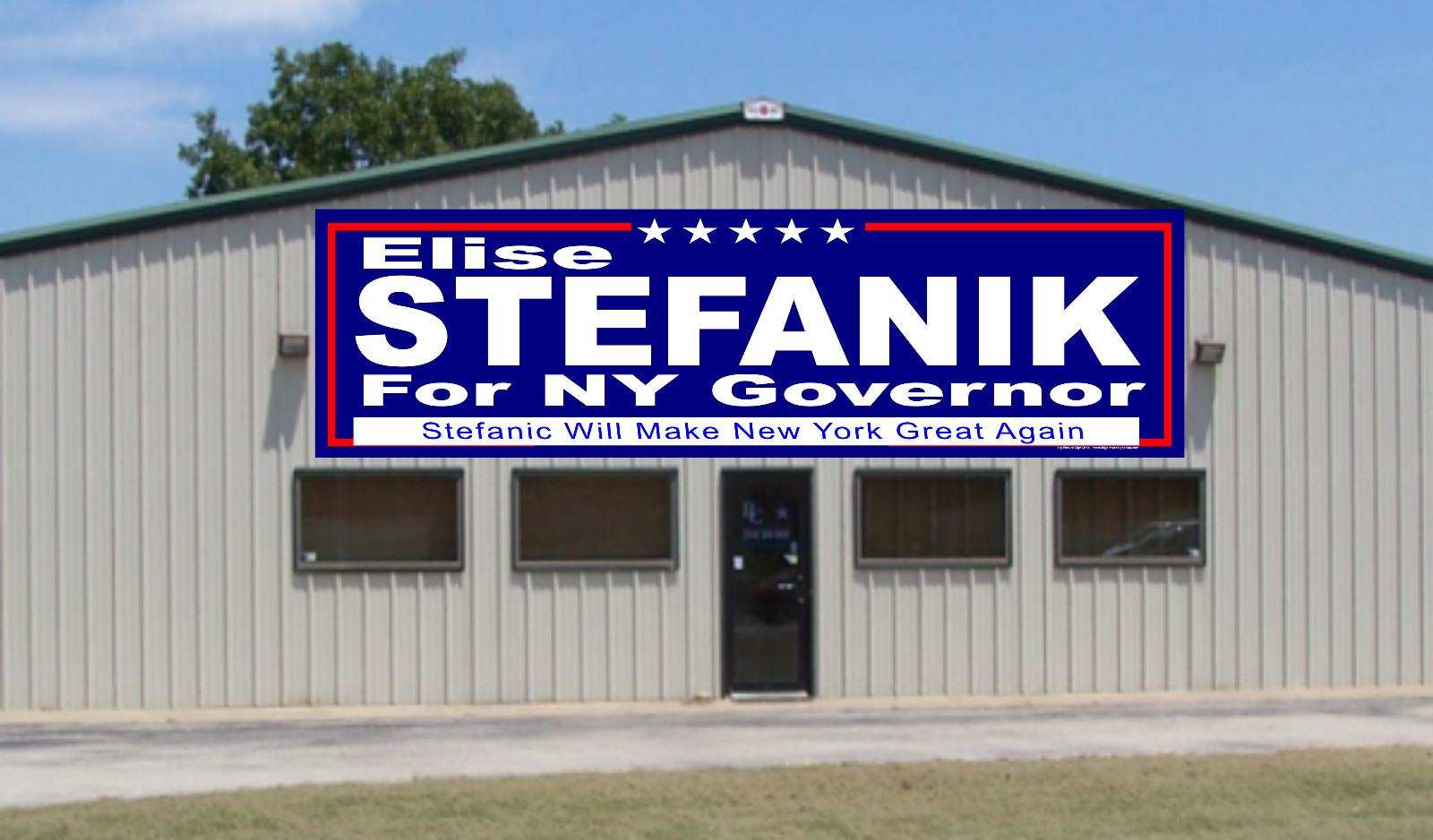 Elise STEFANIK NY GOVERNOR -Vinyl Banners-3 Choices Wh Blu Rd -Fast Ship-USA -35