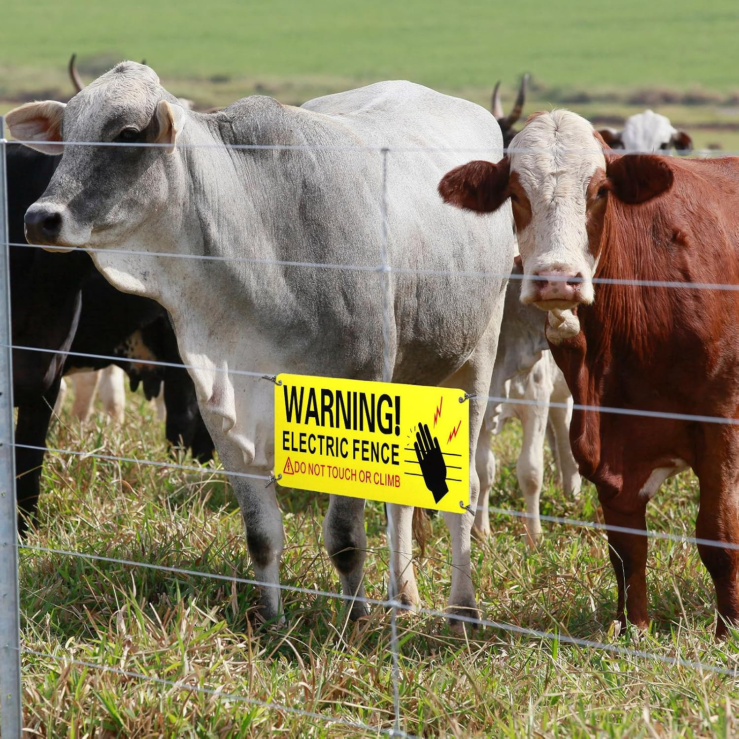 8 Pack Metal Electric Fence Warning Signs 10 X 4 Inches Reflective