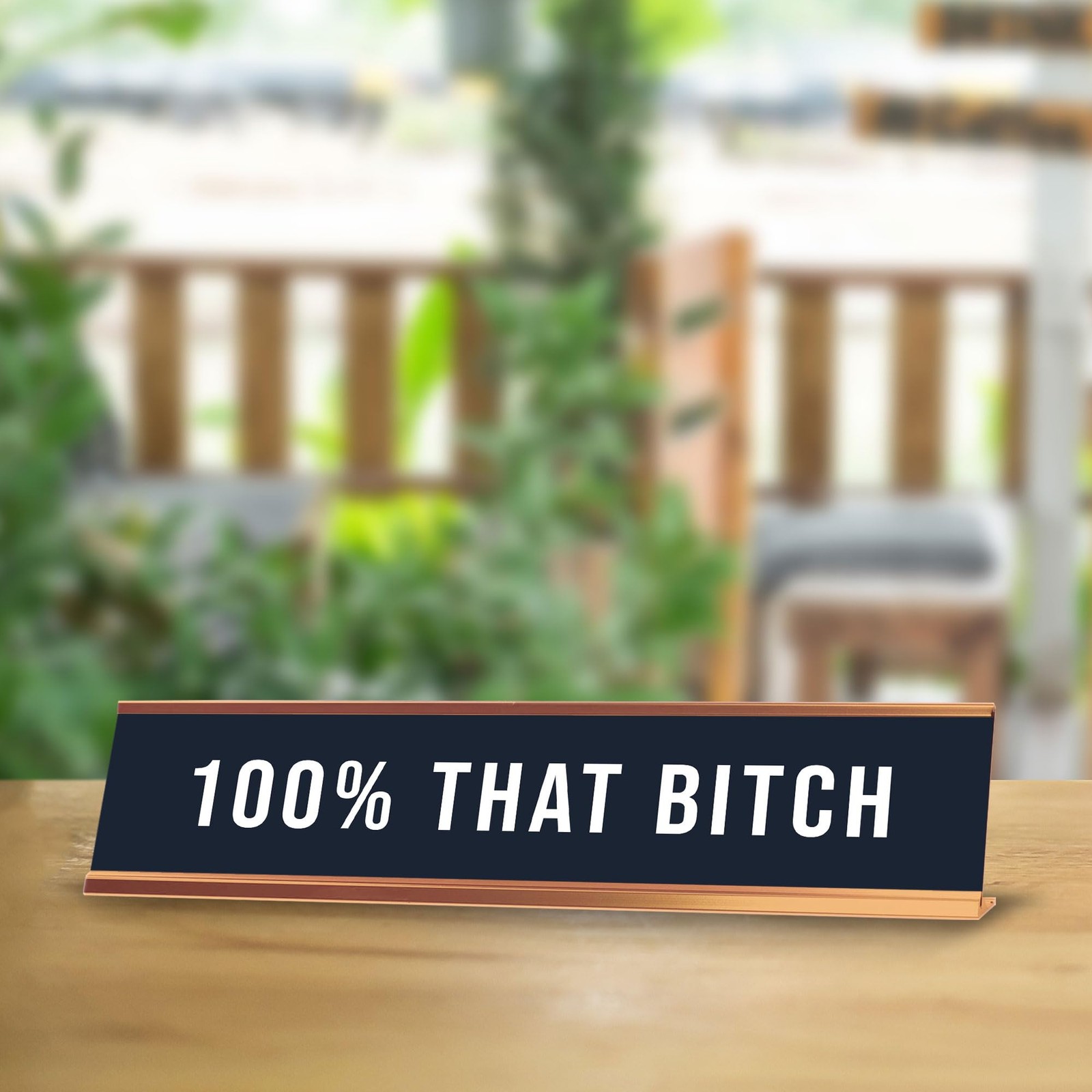 100% That B*tch 2 x 10&Prime; Desk Sign | Funny Home & Office Decor