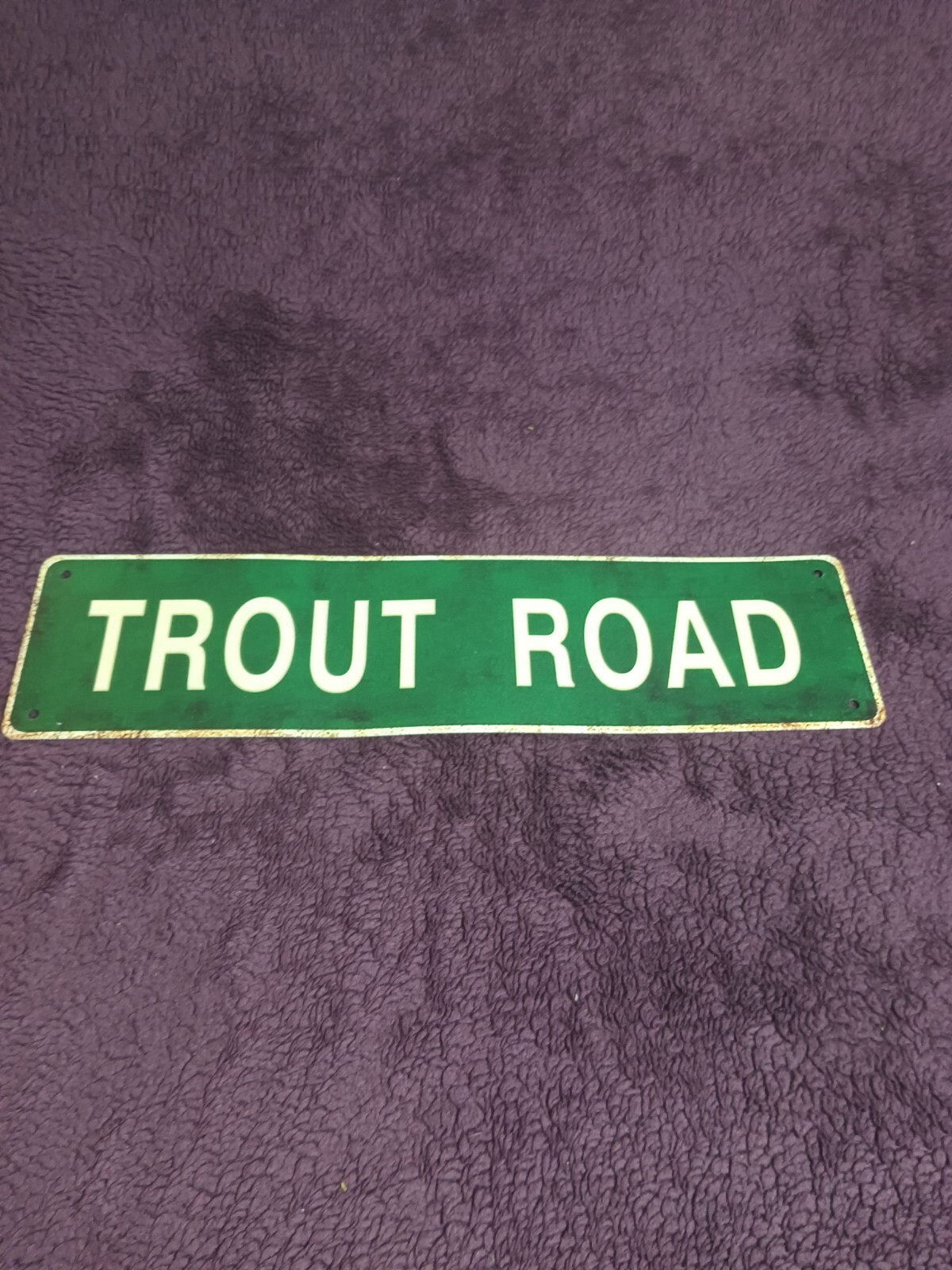 4&Prime; X 15&Prime; Aluminum Street Sign « TROUT ROAD » GREEN & White W/4 Mounting Holes